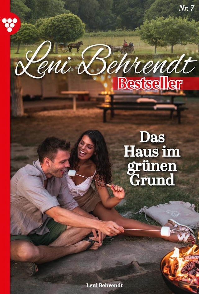 Book cover for Das Haus im grünen Grund
