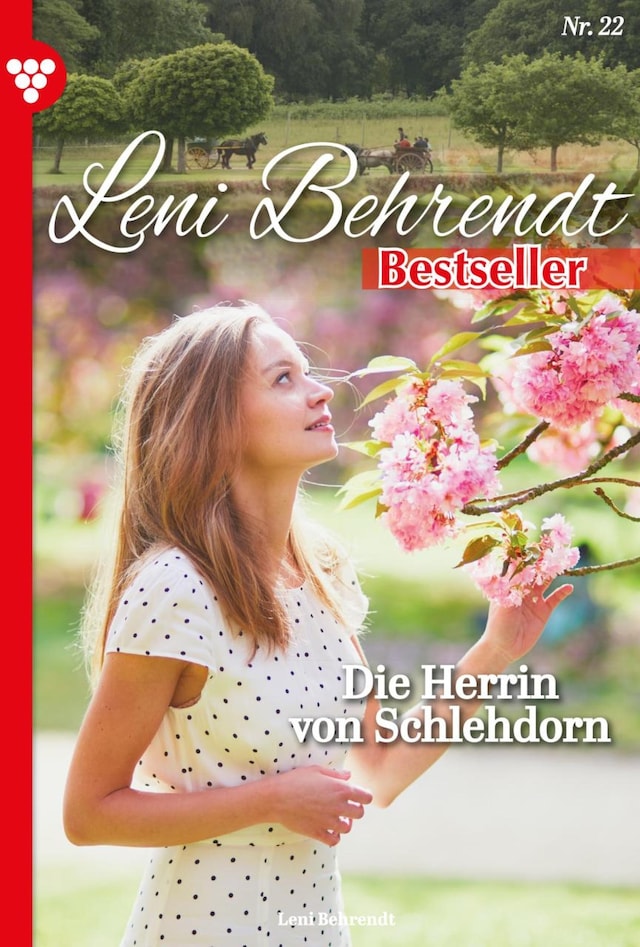 Book cover for Die Herrin von Schlehdorn