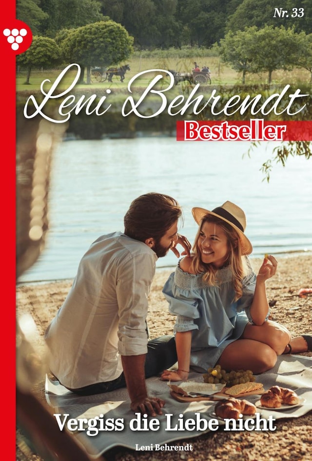 Book cover for Vergiss die Liebe nicht