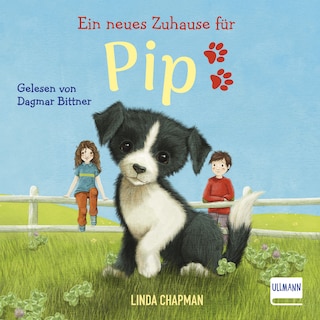 Ein neues Zuhause für Pip als Hörbuch