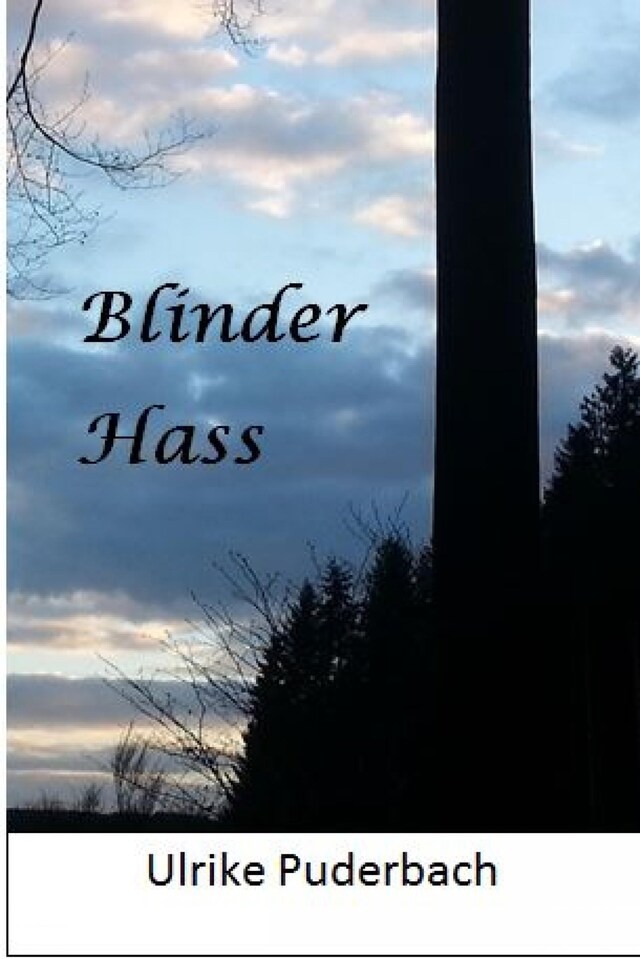 Book cover for Blinder Hass