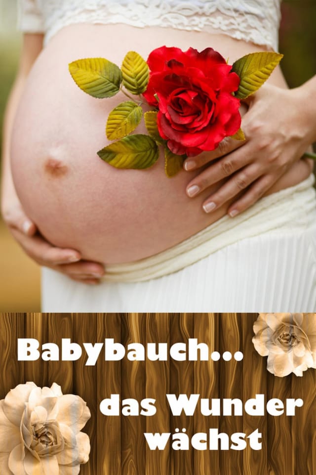 Buchcover für Babybauch...das Wunder wächst