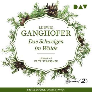 Das Schweigen im Walde als Hörbuch