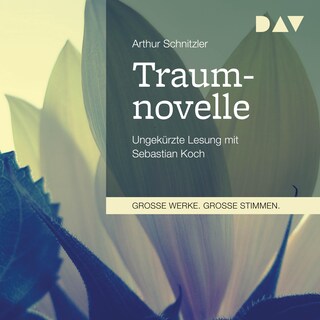 Traumnovelle als Hörbuch