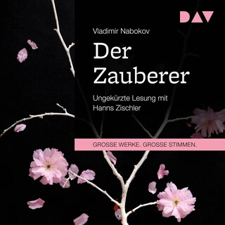 Der Zauberer als Hörbuch
