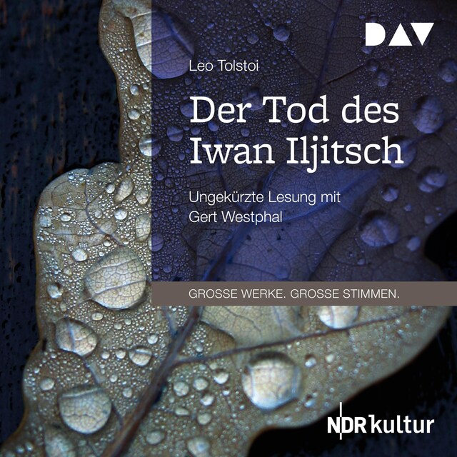 Buchcover für Der Tod des Iwan Iljitsch