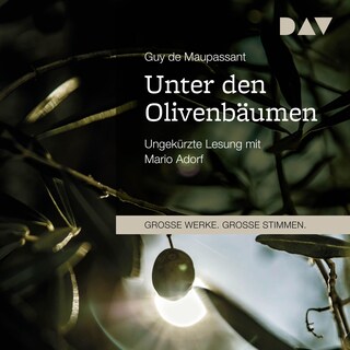Unter den Olivenbäumen als Hörbuch