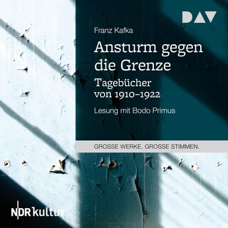 Ansturm gegen die Grenze. Tagebücher von 1910–1922 als Hörbuch