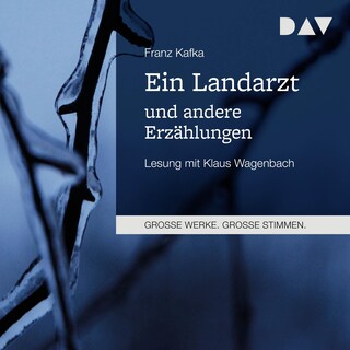 Ein Landarzt und andere Erzählungen als Hörbuch