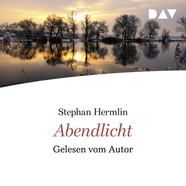 Buchcover für Abendlicht