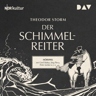 Der Schimmelreiter als Hörbuch