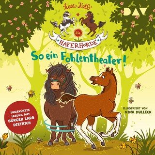Die Haferhorde – Teil 8: So ein Fohlentheater! als Hörbuch