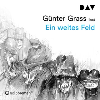 Ein weites Feld als Hörbuch