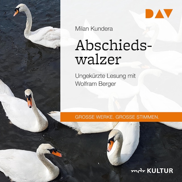 Buchcover für Abschiedswalzer