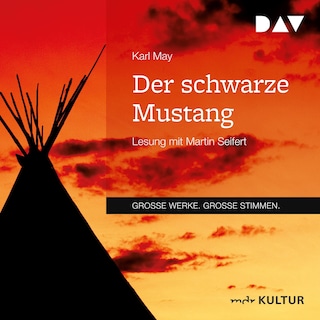 Der schwarze Mustang als Hörbuch