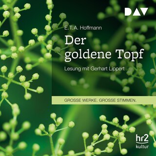 Der goldene Topf als Hörbuch