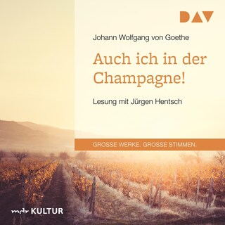 Auch ich in der Champagne! als Hörbuch