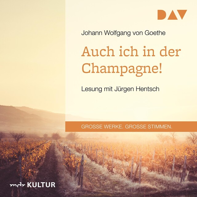 Buchcover für Auch ich in der Champagne!