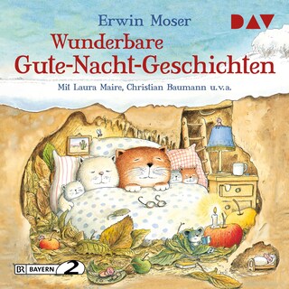 Wunderbare Gute-Nacht-Geschichten als Hörbuch