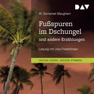 Fußspuren im Dschungel und andere Erzählungen als Hörbuch