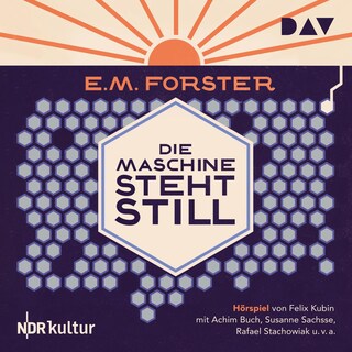Die Maschine steht still als Hörbuch
