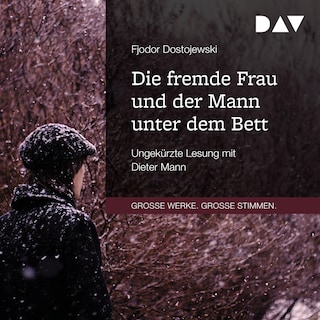 Die fremde Frau und der Mann unter dem Bett als Hörbuch