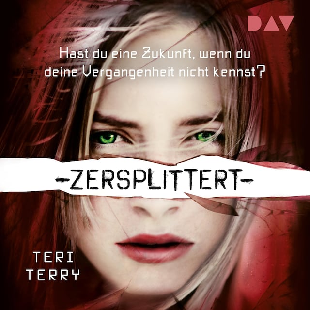 Buchcover für Zersplittert – Teil 2