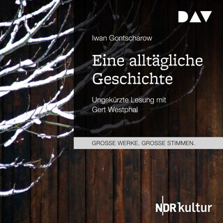 Eine alltägliche Geschichte als Hörbuch