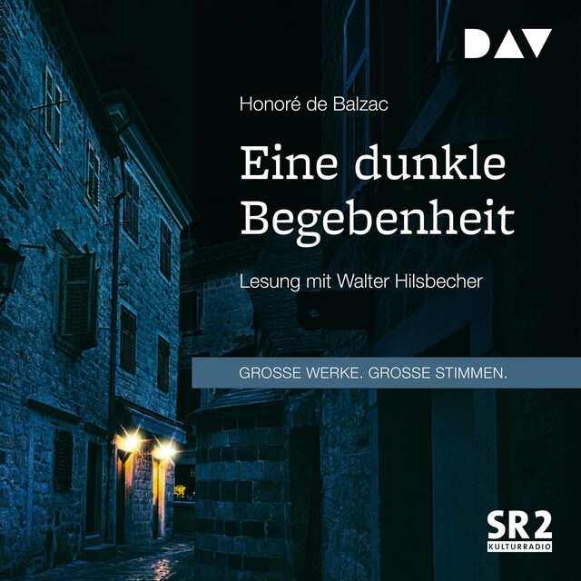 Buchcover für Eine dunkle Begebenheit