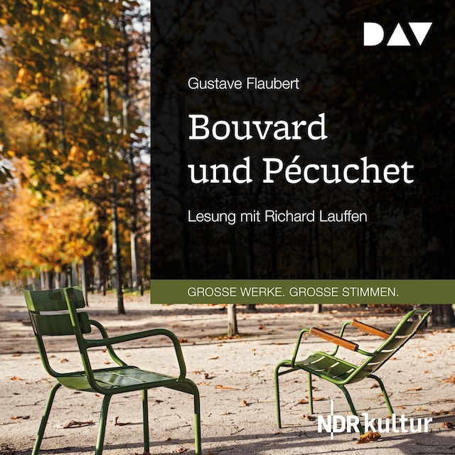 Buchcover für Bouvard und Pécuchet