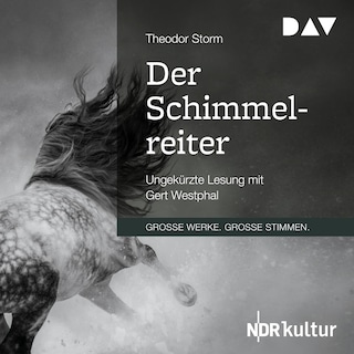 Der Schimmelreiter als Hörbuch