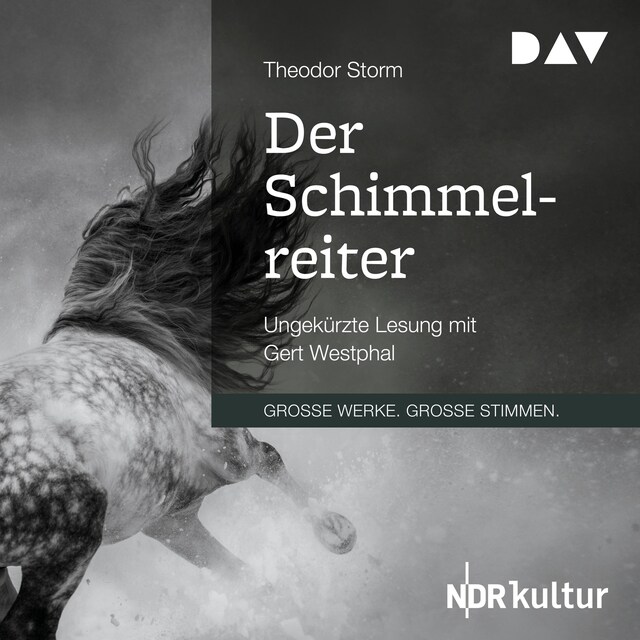 Buchcover für Der Schimmelreiter