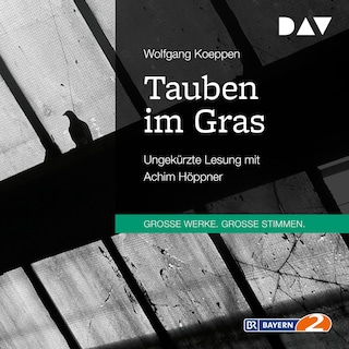 Tauben im Gras als Hörbuch