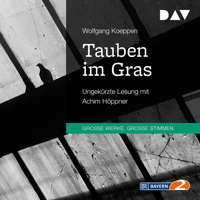 Buchcover für Tauben im Gras