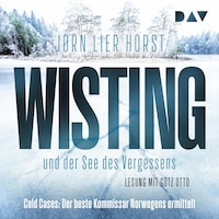 Wisting und der See des Vergessens (Cold Cases 4)