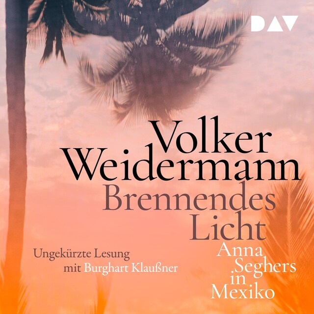 Buchcover für Brennendes Licht. Anna Seghers in Mexiko