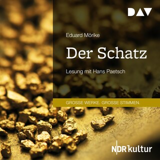 Der Schatz als Hörbuch