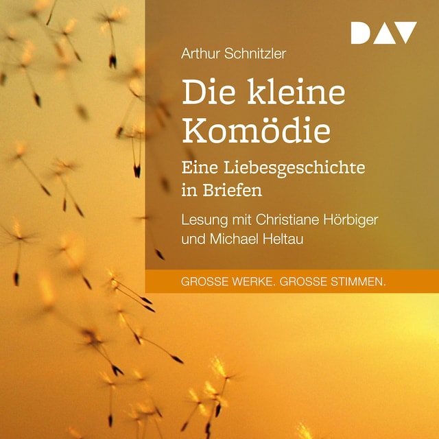 Buchcover für Die kleine Komödie. Eine Liebesgeschichte in Briefen