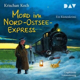 Mord im Nord-Ostsee-Express. Ein Küstenkrimi als Hörbuch