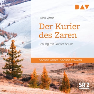 Der Kurier des Zaren als Hörbuch