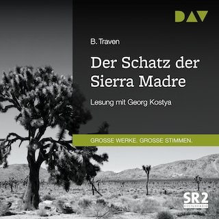 Der Schatz der Sierra Madre als Hörbuch