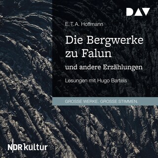 Die Bergwerke zu Falun und andere Erzählungen als Hörbuch