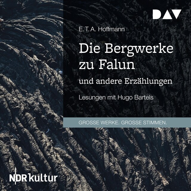 Buchcover für Die Bergwerke zu Falun und andere Erzählungen