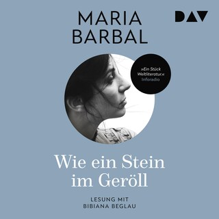 Wie ein Stein im Geröll als Hörbuch