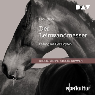 Der Leinwandmesser als Hörbuch