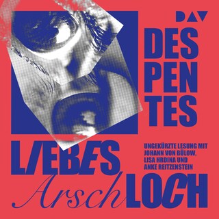 Liebes Arschloch als Hörbuch