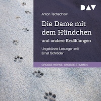 Die Dame mit dem Hündchen und andere Erzählungen