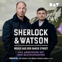 Sherlock & Watson – Neues aus der Baker Street: Das Abenteuer mit dem Blutdiamanten (Fall 13)
