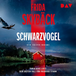 Schwarzvogel. Der erste Fall für Fredrika Storm als Hörbuch
