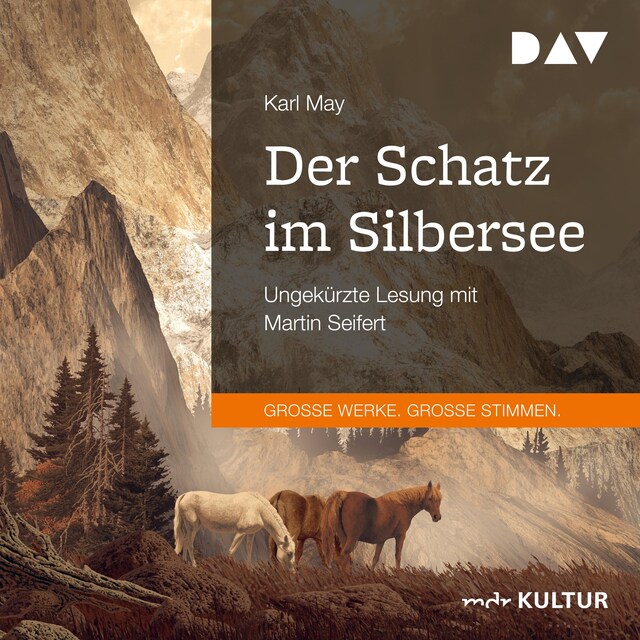 Buchcover für Der Schatz im Silbersee